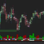 [订单流交易]NinjaTrader8订单流交易模块 无限制 无月费 中文界面 实时数据无延迟 永久使用